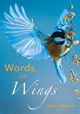 Book cover for Words With Wings