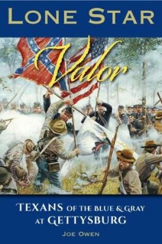 Cover of Lone Star Valor