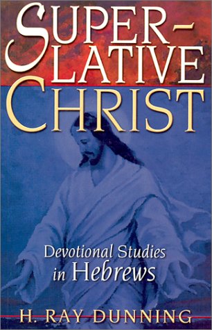 Book cover for Superlative Christ