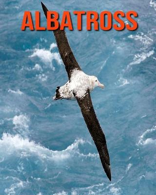 Book cover for Albatross