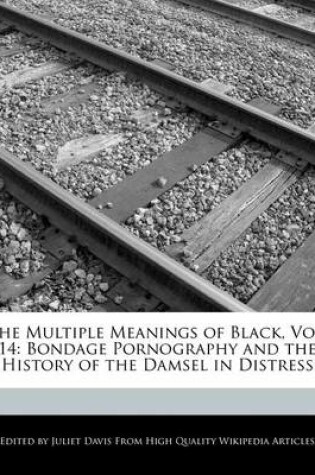 Cover of The Multiple Meanings of Black, Vol. 14