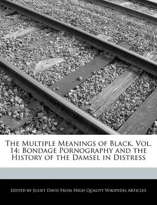 Book cover for The Multiple Meanings of Black, Vol. 14