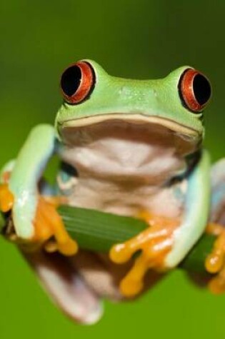 Cover of Frog Holding on to a Twig