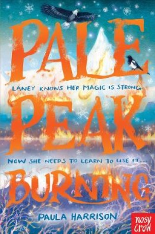 Cover of Pale Peak Burning