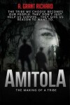 Book cover for Amitola