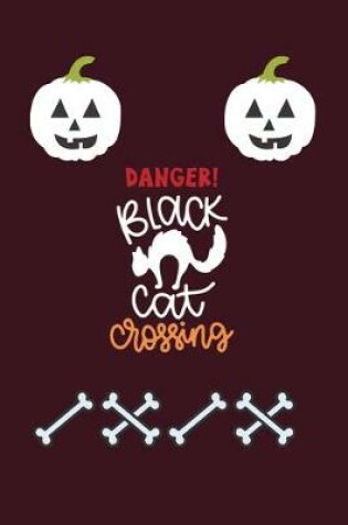 Cover of Danger Black Cat Crossing