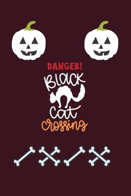 Book cover for Danger Black Cat Crossing