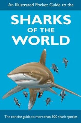 Cover of An Illustrated Pocket Guide to the Sharks of the World