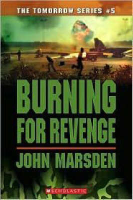 Book cover for Burning for Revenge