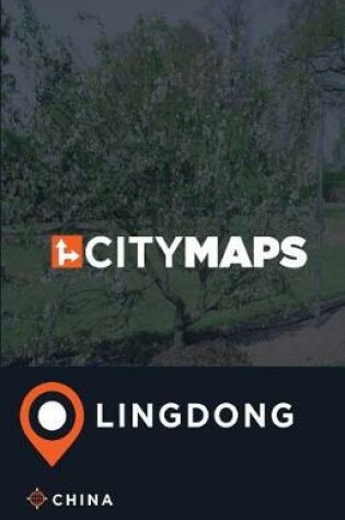 Cover of City Maps Lingdong China