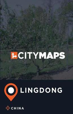 Book cover for City Maps Lingdong China