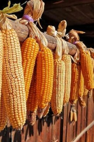 Cover of Dried Corn Cob Ornaments Journal