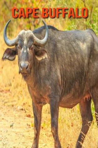 Cover of Cape Buffalo