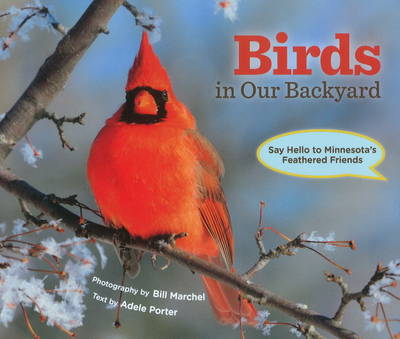 Book cover for Birds in Our Backyard