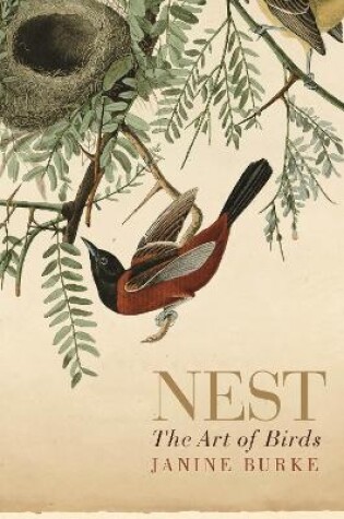 Cover of Nest