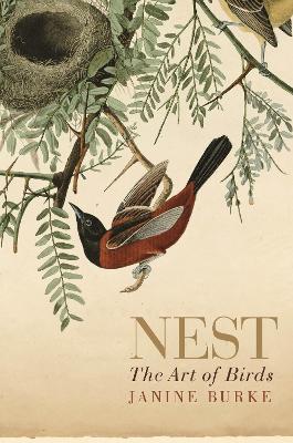 Book cover for Nest