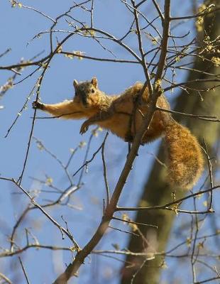 Book cover for Relaxed Squirrel 8.5"x11" composition notebook 200 college ruled pages