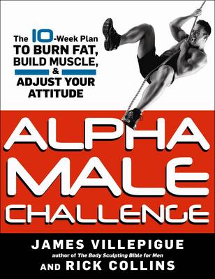 Book cover for Alpha Male Challenge