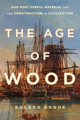 Book cover for The Age of Wood