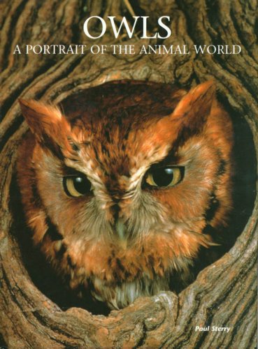 Book cover for Owls