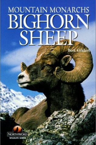 Cover of Bighorn Sheep