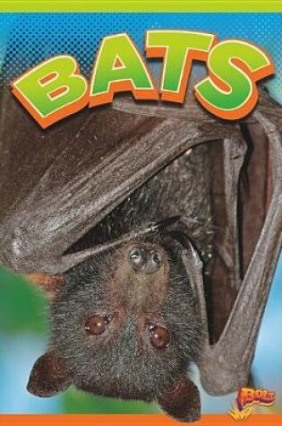 Cover of Bats