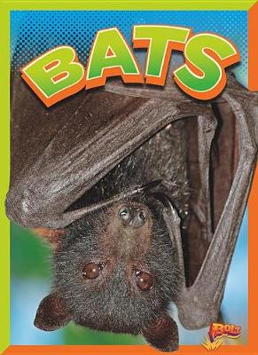 Cover of Bats