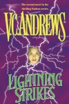 Book cover for Lightning Strikes