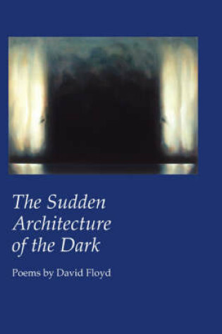 Cover of The Sudden Architecture of the Dark