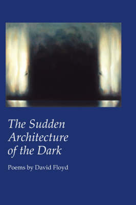 Book cover for The Sudden Architecture of the Dark