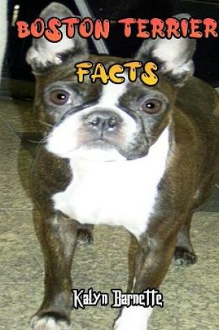 Cover of Boston Terrier Facts