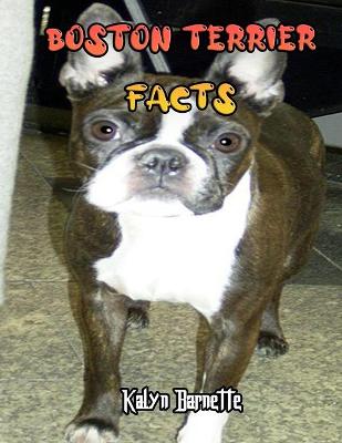 Book cover for Boston Terrier Facts