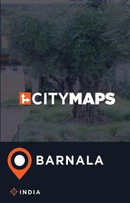 Book cover for City Maps Barnala India