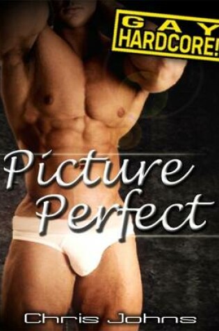 Cover of Picture Perfect