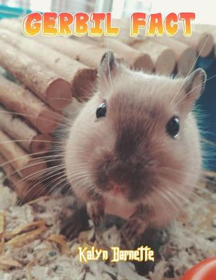 Book cover for Gerbil Fact