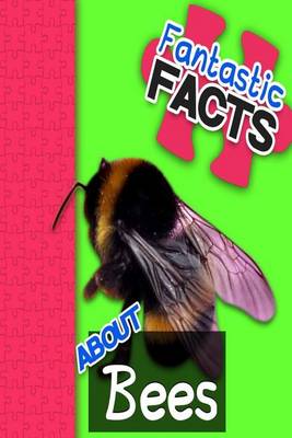 Book cover for Fantastic Facts about Bees