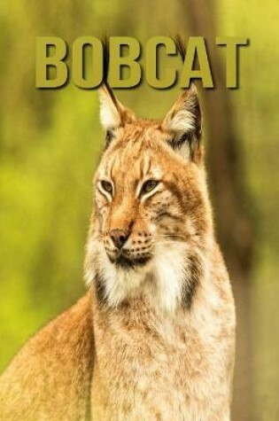 Cover of Bobcat