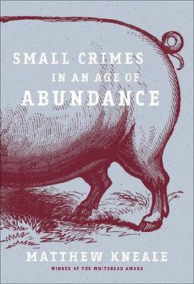 Book cover for Small Crimes in an Age of Abundance