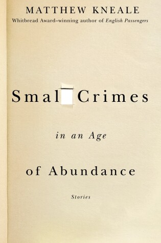 Cover of Small Crimes in an Age of Abundance