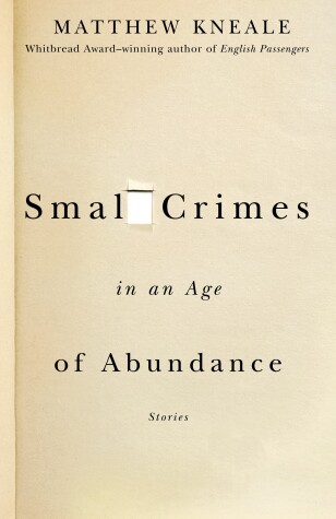 Book cover for Small Crimes in an Age of Abundance