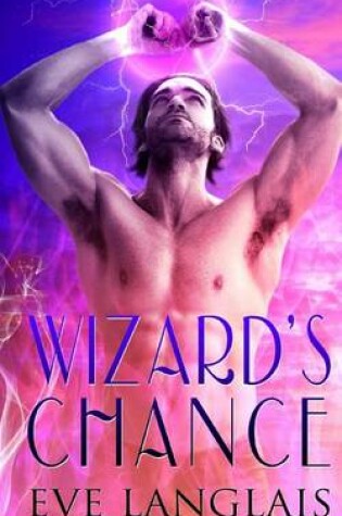 Cover of Wizard's Chance