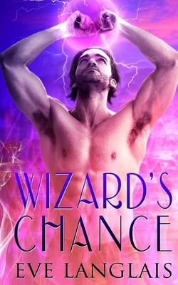 Book cover for Wizard's Chance