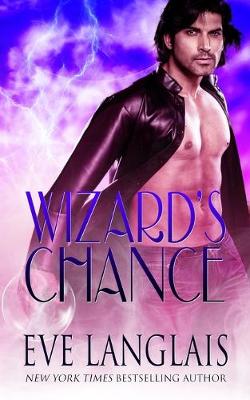 Book cover for Wizard's Chance