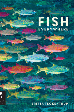 Cover of Fish Everywhere