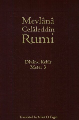 Cover of Divan-I Kebir, Meter 3