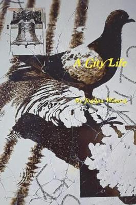 Book cover for A City Life