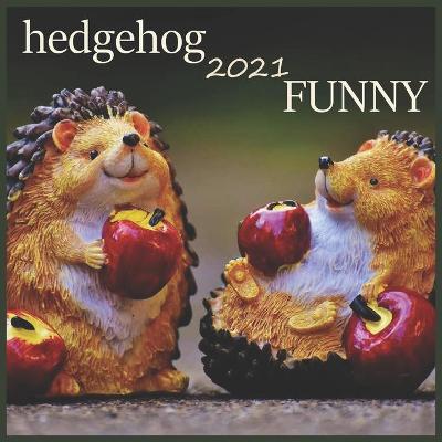 Book cover for hedgehog FUNNY