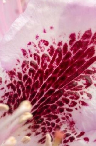 Cover of Pink Rhododendron Flower Blossom Journal