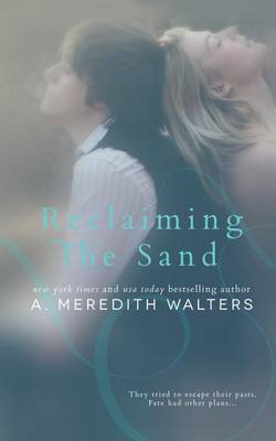 Book cover for Reclaiming the Sand