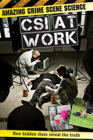 Cover of CSI at Work